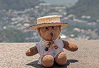 Podróż do Brazylii