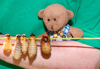 Podróż do Ekwadoru