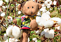 Podróż do Etiopii Południowej