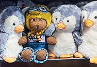 Podróż na Falklandy