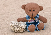 Podróż na Wyspy Galapagos