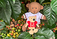 Podróż do Gwatemali