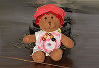 Podróż do Radżastanu