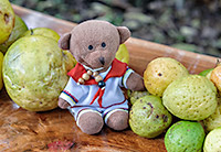 Podróż do Kolumbii