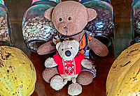 Podróż do Nikaragui