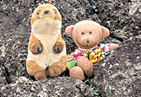 Podróż na Rapa Nui