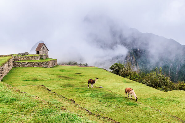 Peru